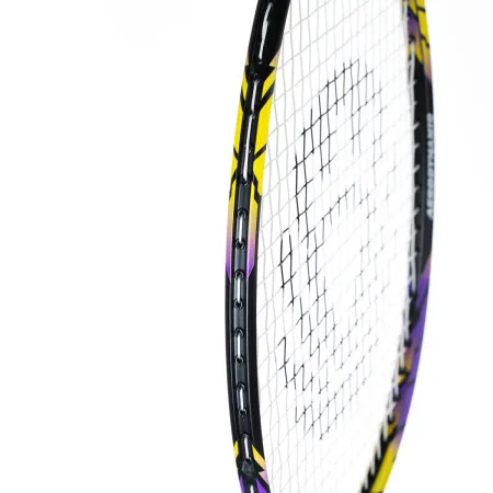 Ракетка бадм. TORRES Carbon PRO6, BD20521,для продв., стерж/обод из карбона,со струнами, фиол за 4&nbsp;477.80 ₽ купить в Омске